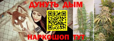 spice Кимры