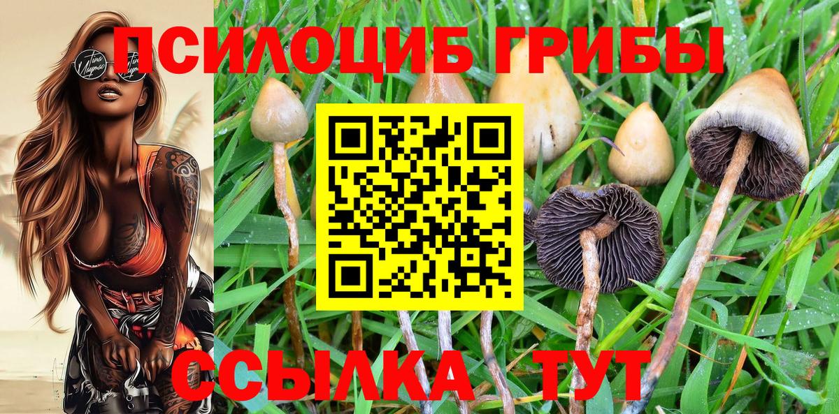 Галлюциногенные грибы MAGIC MUSHROOMS  Галлюциногенные грибы Cubensis  как найти закладки  Вход с VPN  Ликино-Дулёво 