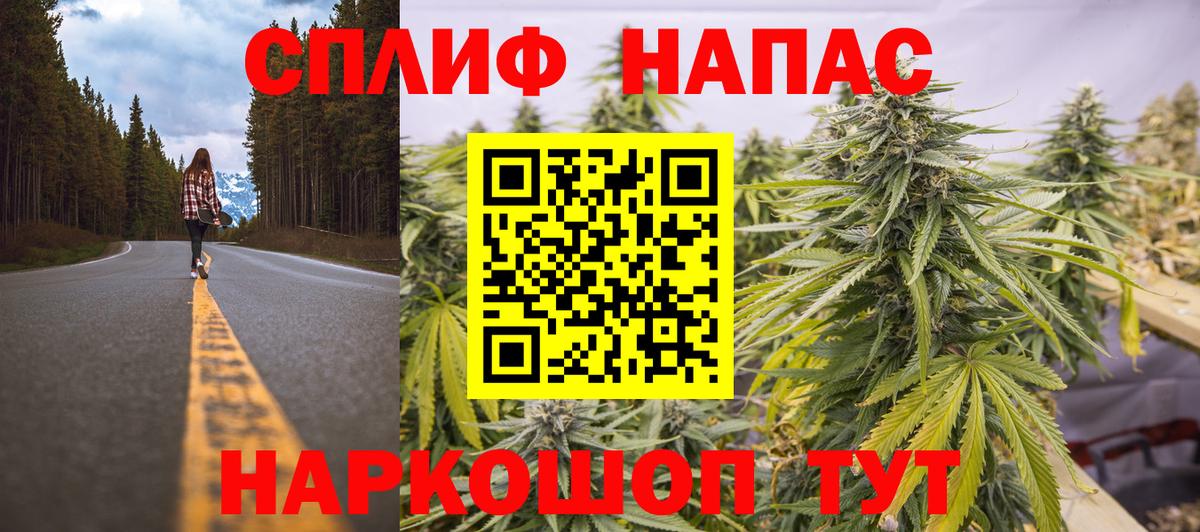 Каннабис OG Kush Ликино-Дулёво